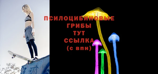 соль ск Нягань