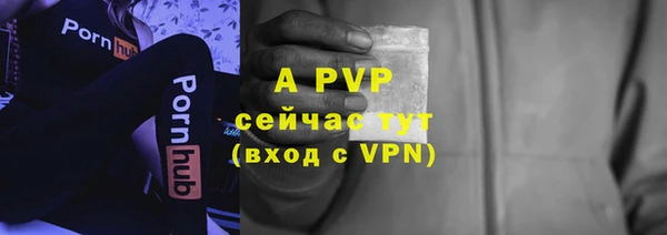 шишки Новокубанск